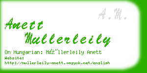 anett mullerleily business card